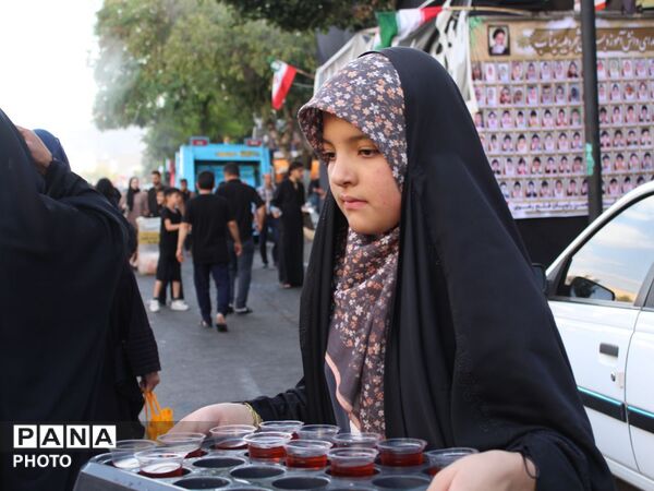مشهد تا حرم، پیاده در سوگ امام هشتم