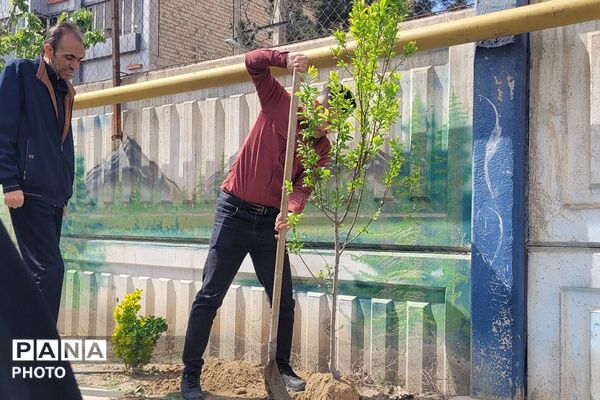 ادای احترام به شهدای دانش‌آموز میناب با رونمایی از زمین چمن و کاشت نهال در بهارستان‌دو