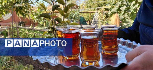 برگزاری اردوی تفریحی‌ برای دانش‌آموزان صالحین