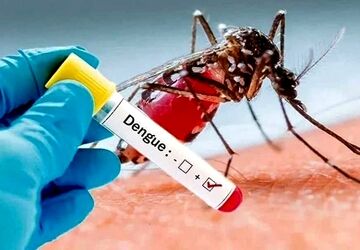 شناسایی ۱۷ مورد بیمار مبتلا به تب دنگی در کشور