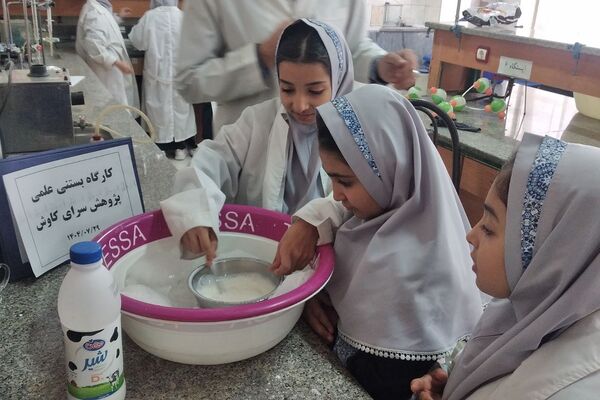 مزه شیرین علم، بستنی علمی