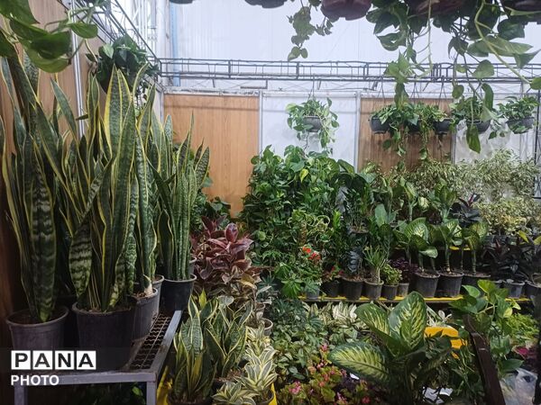 نمایشگاه گل و گیاه و سوغات در همدان