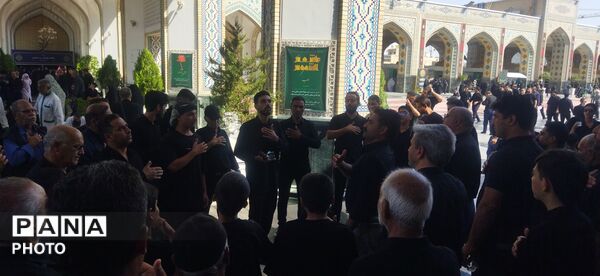 مراسم سینه زنی و عزاداری امام رضا علیه السلام توسط هیئات کاشمر 