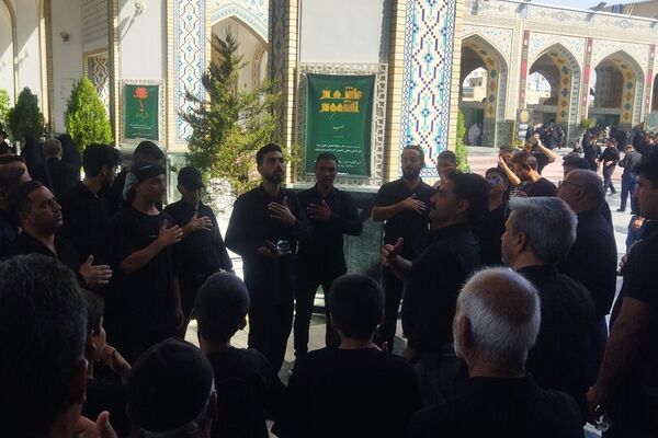 مراسم سینه زنی و عزاداری امام رضا علیه السلام توسط هیئات کاشمر 