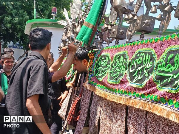 عاشورا؛ روایت دلدادگی در قاب اشک و ارادت 