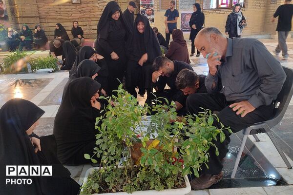 تجدید میثاق با آرمان‌های شهید محمد دکامی در سالگرد شهادت وی