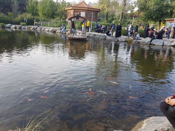 اردیبهشت زیبای باغ گیاهشناسی مشهد