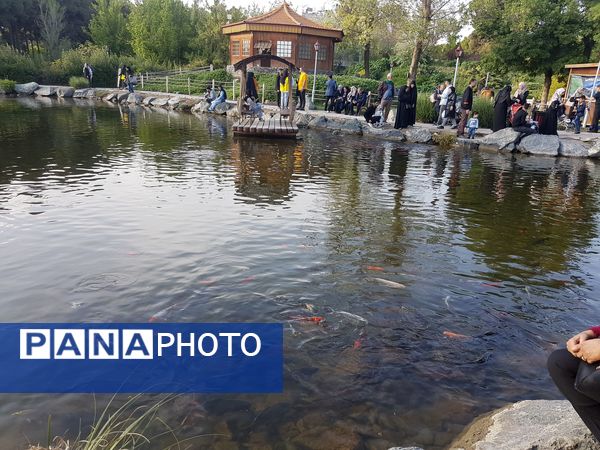 اردیبهشت زیبای باغ گیاهشناسی مشهد