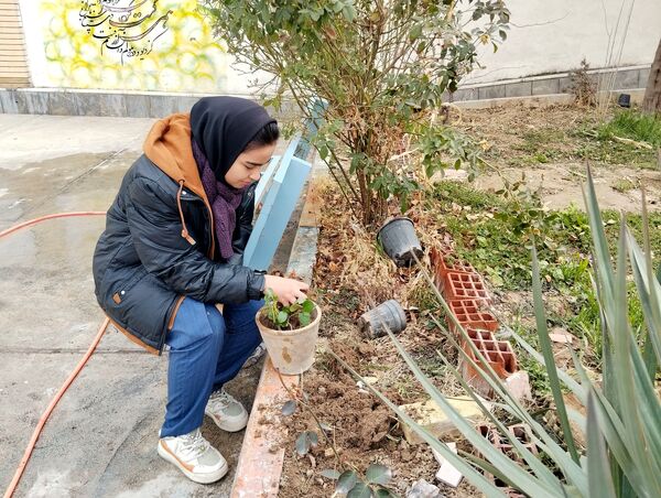 کاشت درخت در هنرستان بصیرت آشخانه