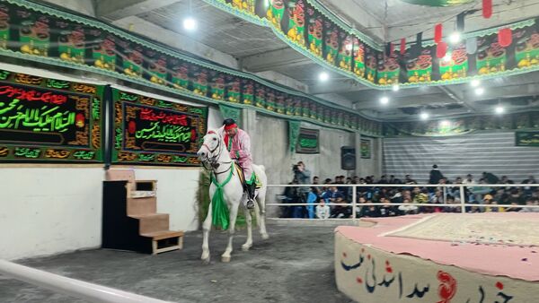 عطر غربت فاطمی در مارکده پیچید