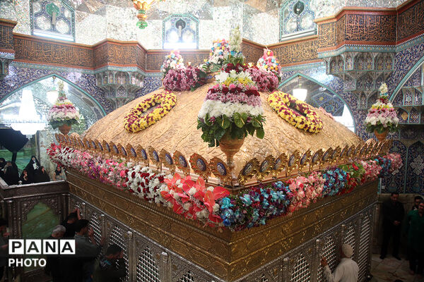 گل آرایی ضریح مطهر حضرت معصومه(س) در شب میلاد امام رضا(ع)