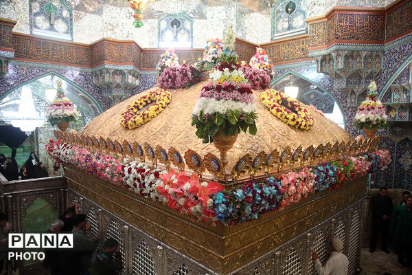گل آرایی ضریح مطهر حضرت معصومه(س) در شب میلاد امام رضا(ع)