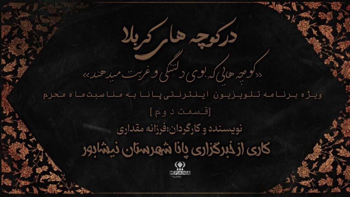در کوچه های کربلا