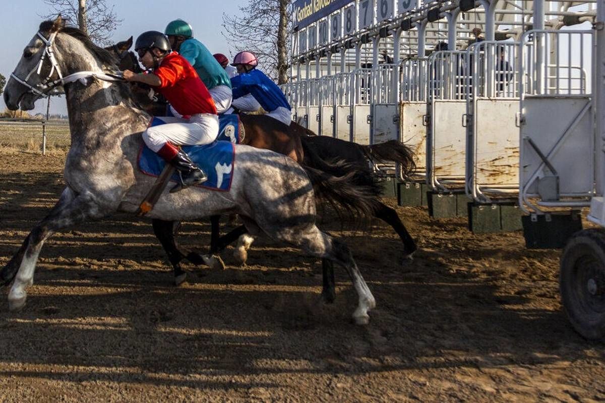 آغاز کورس بهاره گنبدکاووس برای جوایز ۵۲ میلیاردی 