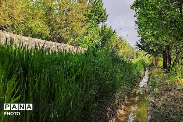 آلبوم تصویری از طبیعت زیبای شهر بار در اردیبهشت‌ماه  ۱۴۰۵ـ۲
