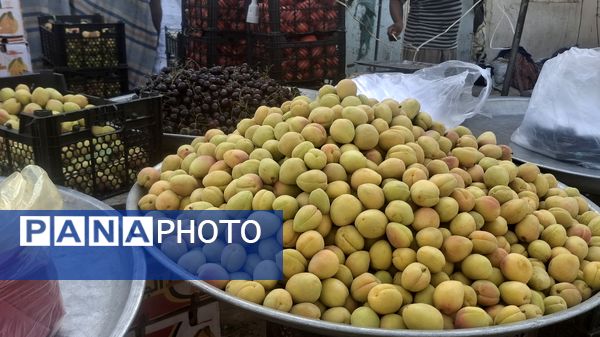 روایت تلاش مردم میناب در گرمای تابستان