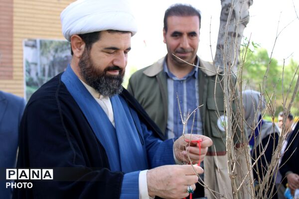 نهال کاری در فاروج به یاد دانش‌آموزان میناب 