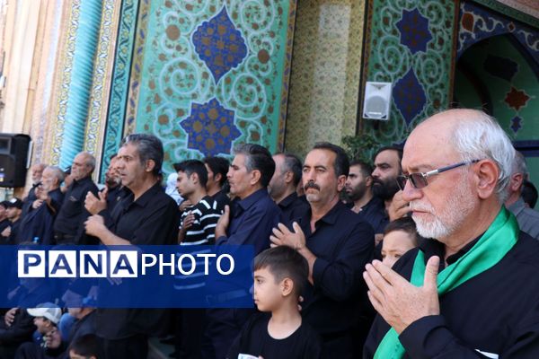 دل‌های جامانده، گرد حرم سلطان علی(ع) در مشهد اردهال به شور افتادند