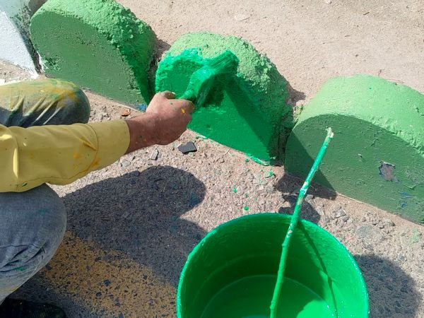 رنگ بلوارهای کاشمر عوض شد