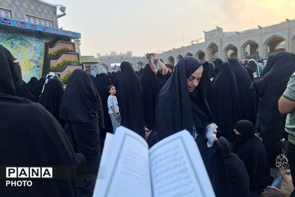 نجوای عاشقانه زائران در روز عرفه؛ مشهد الرضا غرق در زمزمه‌های بندگی