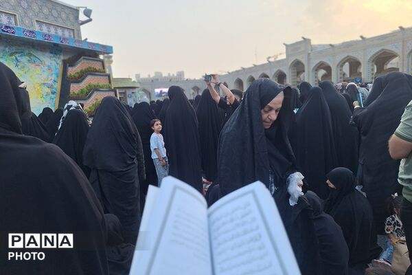 نجوای عاشقانه زائران در روز عرفه؛ مشهد الرضا غرق در زمزمه‌های بندگی