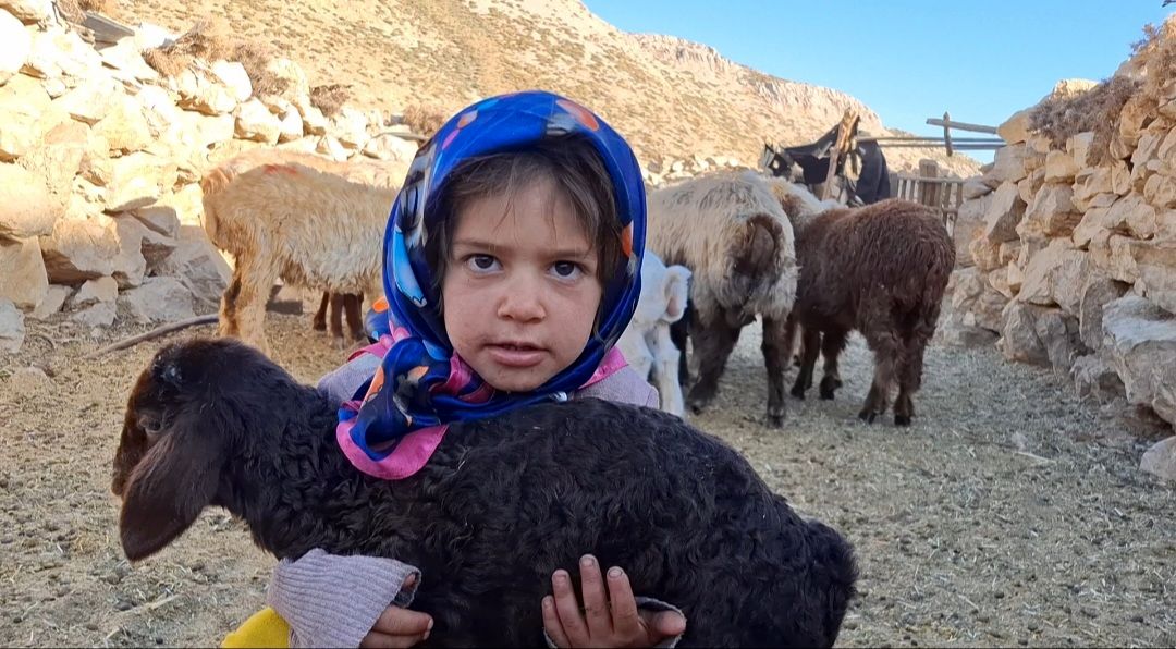 کوچ پاییزی عشایر ایران آغاز شد