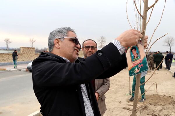 کاشت درخت به یاد شهدا در محمدشهر 