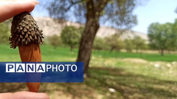 مسیر قارون تا قلعه مدرسه در واپسین لحظه‌های بهار