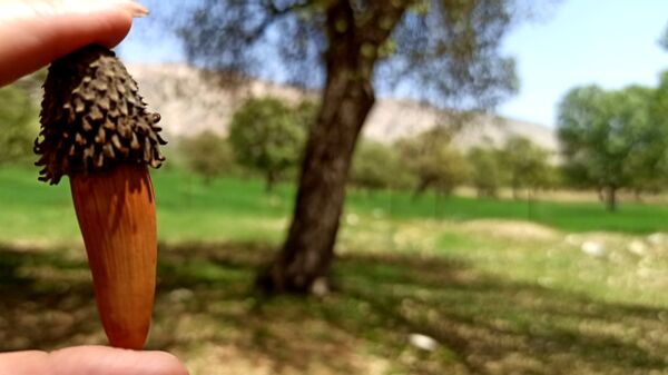مسیر قارون تا قلعه مدرسه در واپسین لحظه‌های بهار