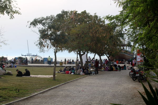 روز طبیعت در بوشهر