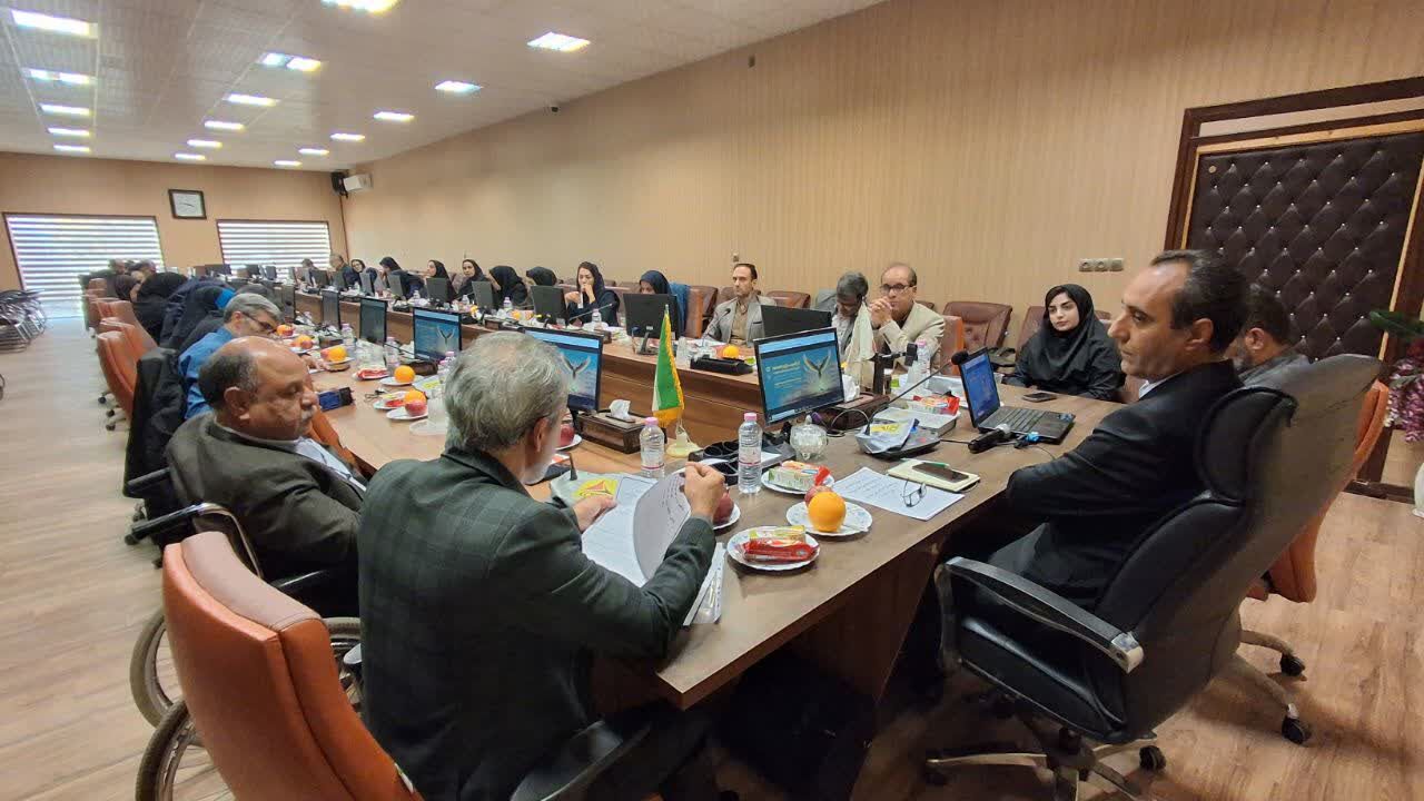 نشست خبری هفته معلولیت در یزد