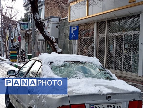 برف میهمان کاشمر شد