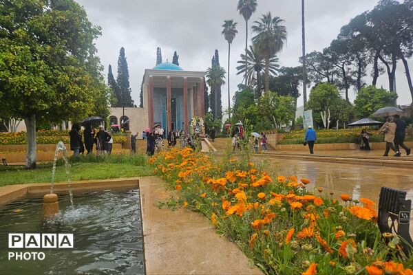 سعدی؛ مردی که کلامش جهان را تسخیر کرد