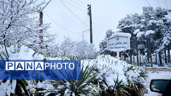 وقتی زمین زیر لحاف سفید برف به خواب میرود