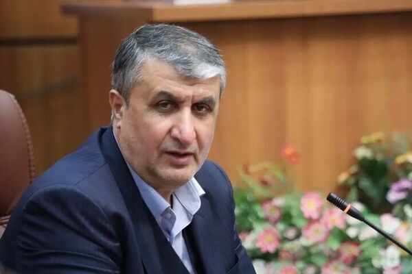 پیام تبریک رییس سازمان انرژی اتمی ایران به سردار سرلشکر علی عبداللهی
