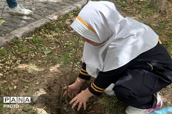 کاشت نهال در هفته معلم به نیابت از شهدای فرهنگی و دانش‌آموز در فرهنگسرای ولاء ناحیه دو شهرری 