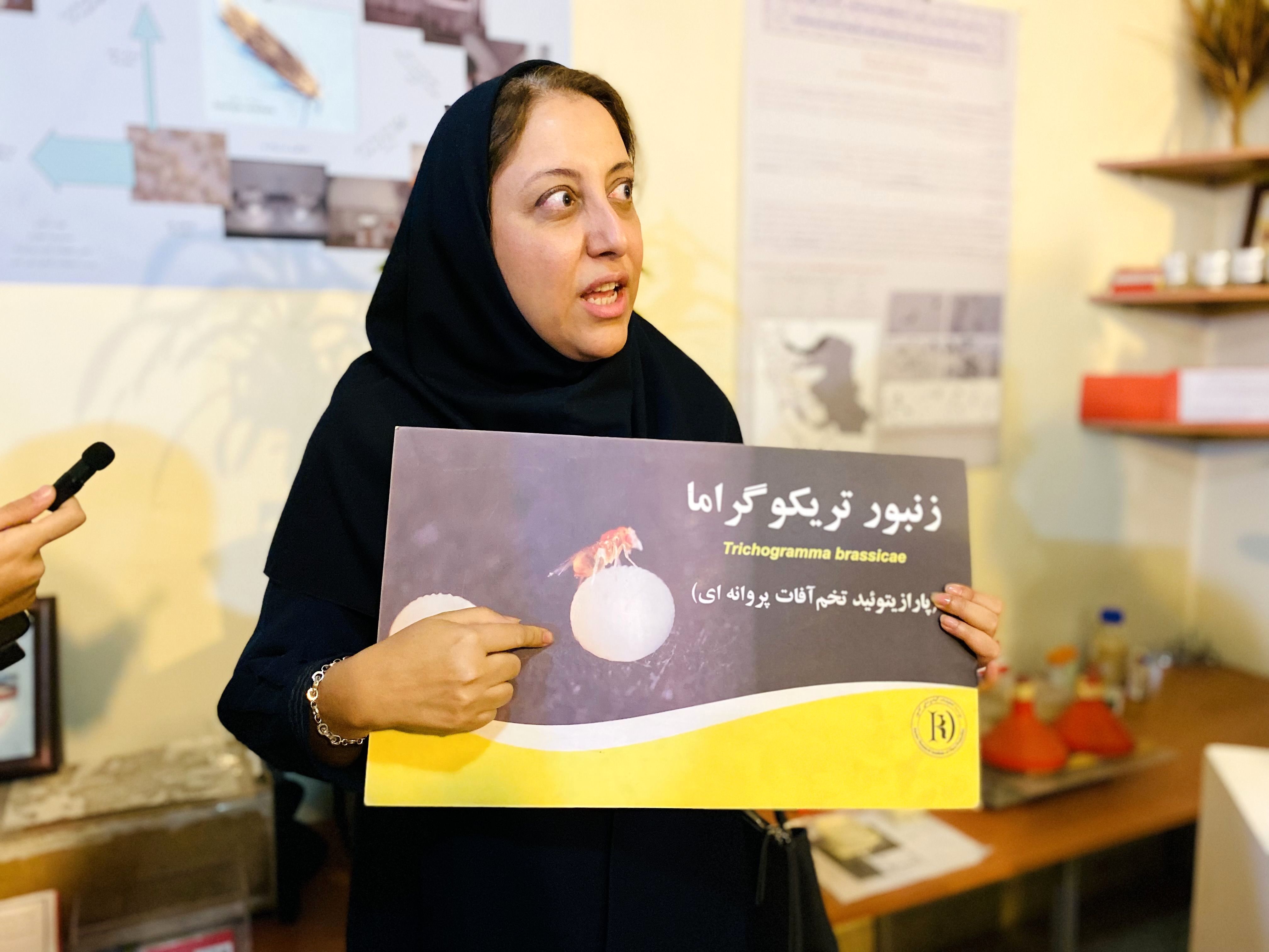 کارشناسان کشاورزی بر اهمیت گسترش روش‌های کنترل بیولوژیک در کشاورزی تأکید کردند