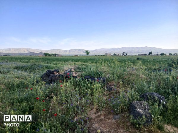 طبیعت چشم نواز روستای دهنو