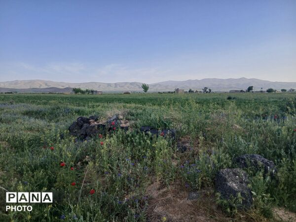 طبیعت چشم نواز روستای دهنو