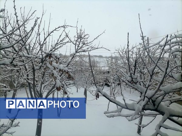 بارش اولین برف در بهمن ماه در شهر بار 