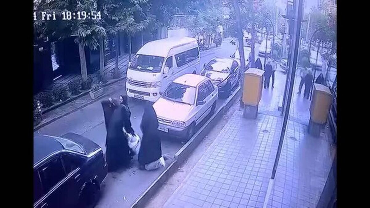 واکنش پلیس به ویدیوی خیابان وطن‌پور