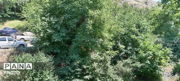 در آغوشِ سکوت؛ جایی که زمین هنوز با خود حرف می‌زند