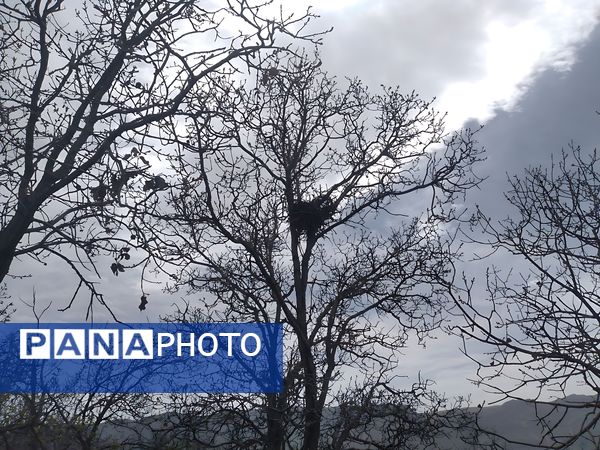 سیزده بدر، نقاشی رنگارنگ طبیعت را بر بوم تصاویر رقم زد