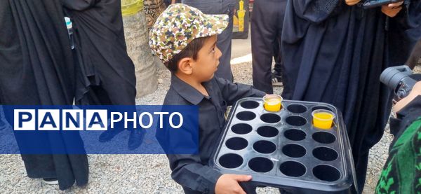 پیاده‌روی جاماندگان اربعین، نمادی از عشق به امام حسین(ع) است