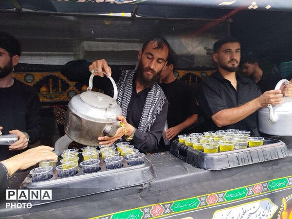موکب امام حسن مجتبی در روز شهادت امام حسن مجتبی علیه‌السلام