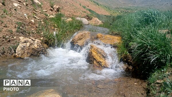 بهار در حومه کوهرنگ