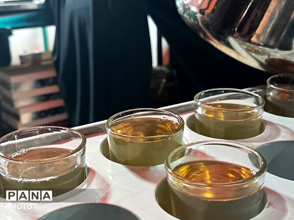 خروش ملت ایران در شب نود و پنجم حماسه میدان داری-١