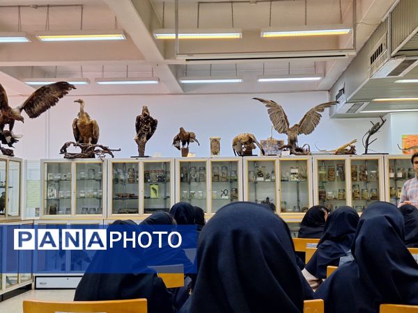 بازدید دانش‌آموزان از موزه زمین شناسی و جانور شناسی دانشگاه فردوسی مشهد