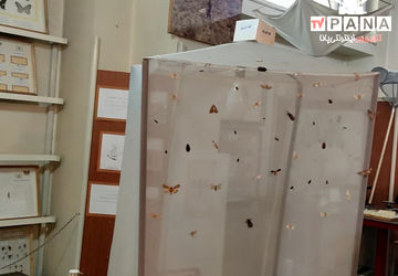  معرفی مؤسسه تحقیقات گیاه‌پزشکی کشور