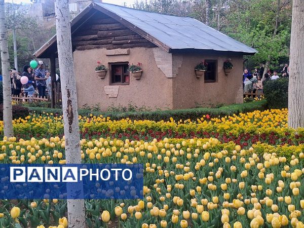 حال و هوای جشنواره  لاله‌های کرج 